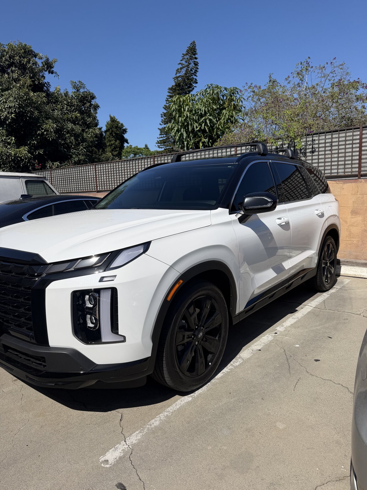 White Hyundai Palisade SUV with dark nano-ceramic window tint installed